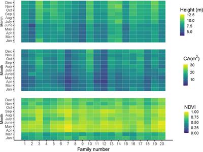 Phenomic selection in slash pine multi-temporally using UAV-multispectral imagery